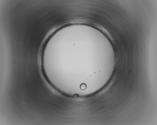 X0000112391130200908131338