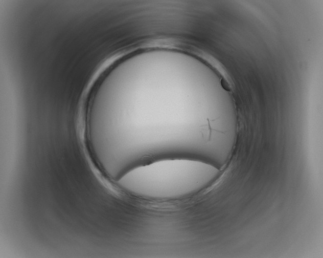X0000112391131200908131338