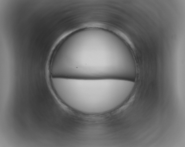 X0000112391133200908131338