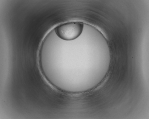 X0000112391134200908131338