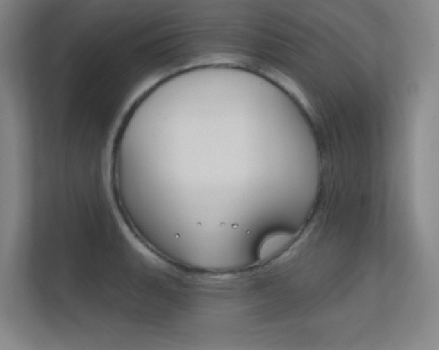 X0000112391135200908131338