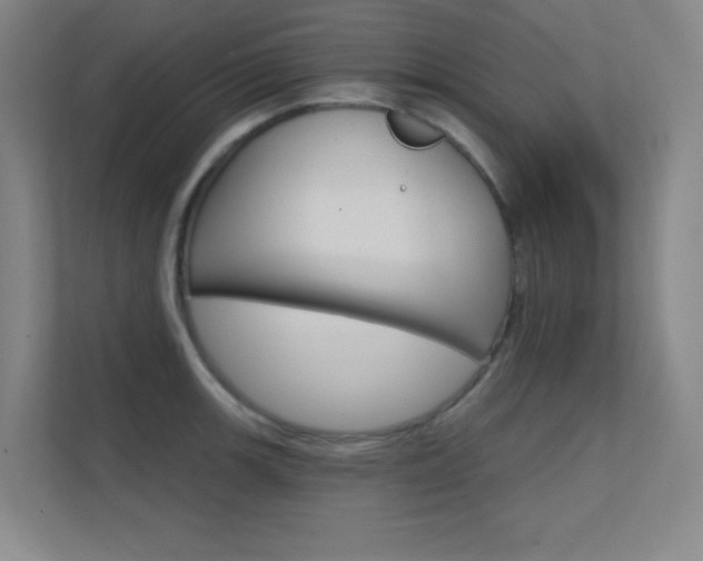 X0000112391139200908131338