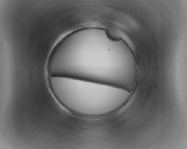 X0000112391141200908131338