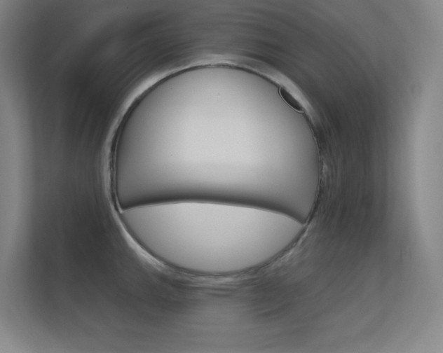 X0000112391143200908131338