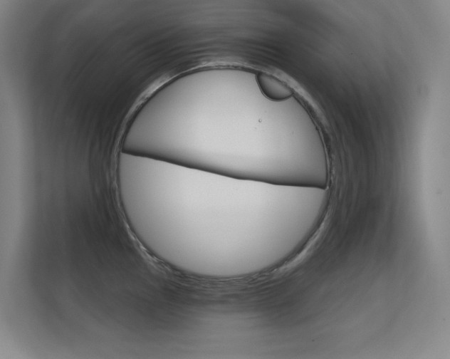 X0000112391145200908131338