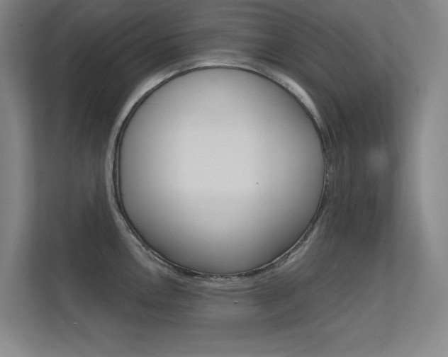 X0000112391146200908131338