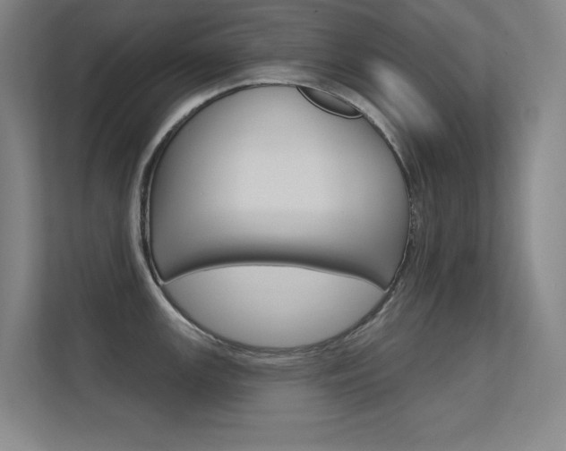 X0000112391147200908131338