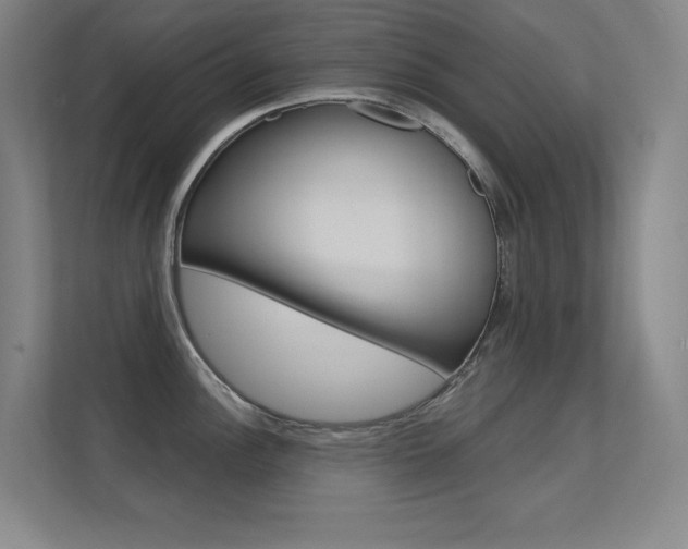 X0000112391148200908131338