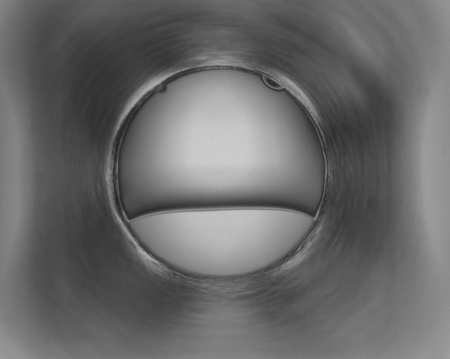 X0000112391149200908131338