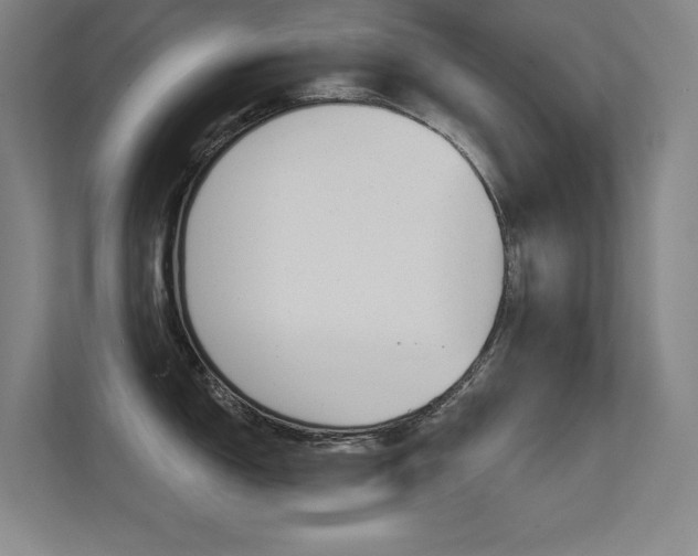 X0000112391150200908131339
