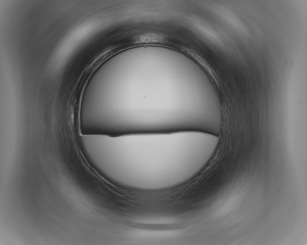 X0000112391151200908131339