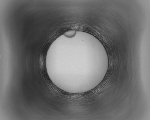 X0000112391154200908131338