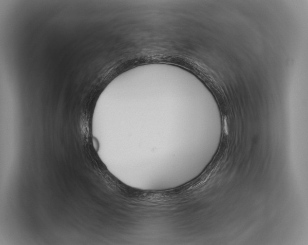 X0000112391155200908131338