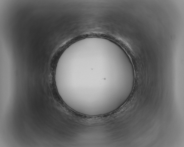 X0000112391159200908131338