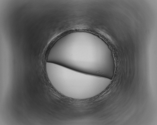 X0000112391160200908131338