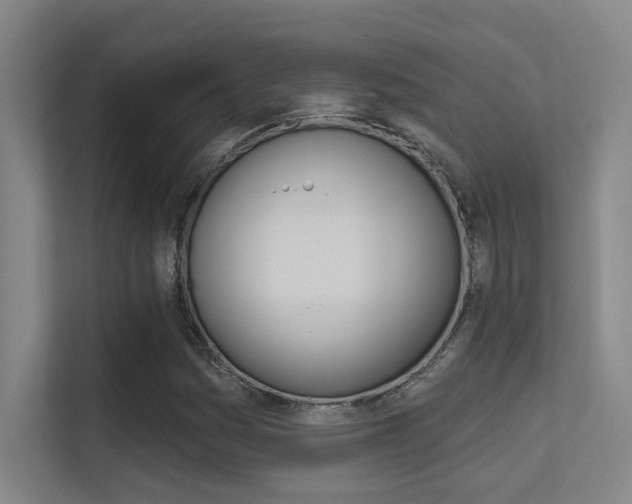 X0000112391161200908131338