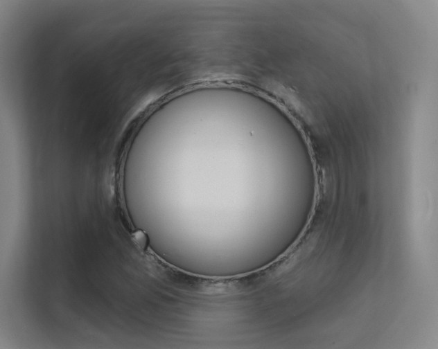 X0000112391165200908131338