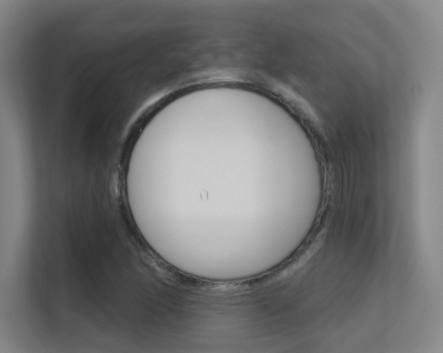 X0000112391166200908131338