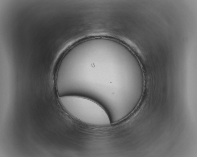 X0000112391167200908131338