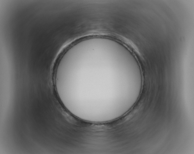 X0000112391168200908131338