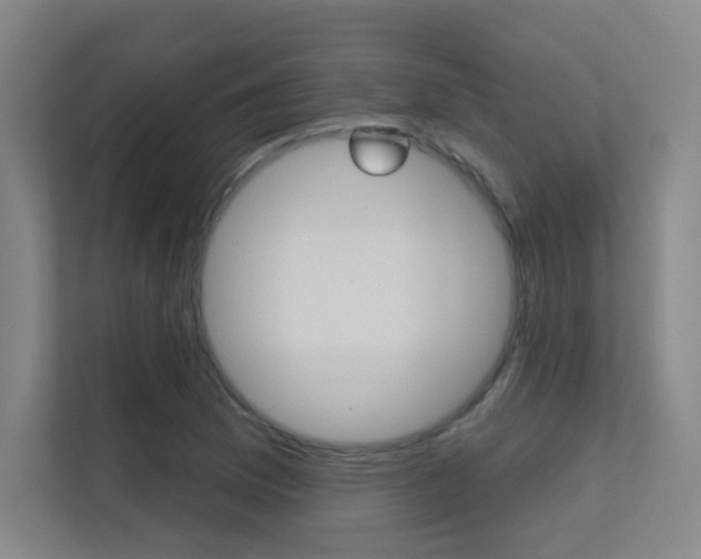 X0000112391169200908131338