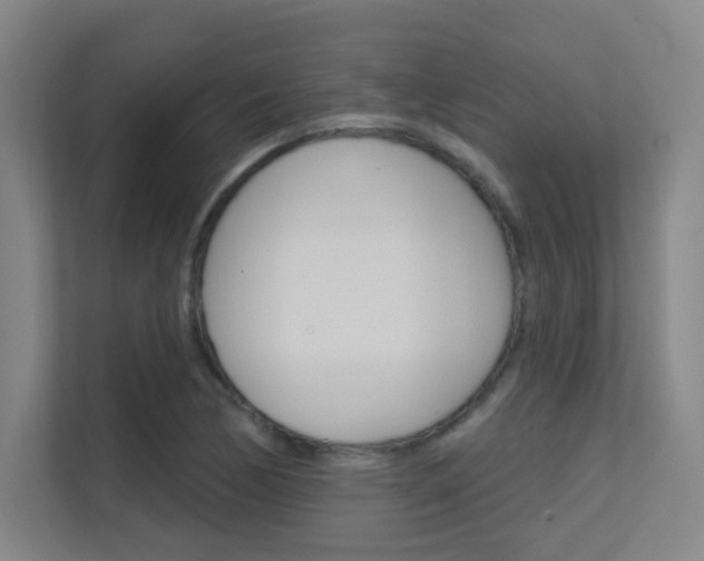 X0000112391170200908131338