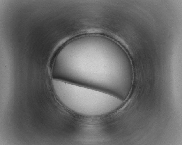 X0000112391171200908131338