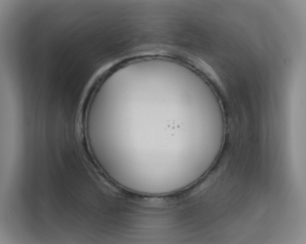 X0000112391172200908131338