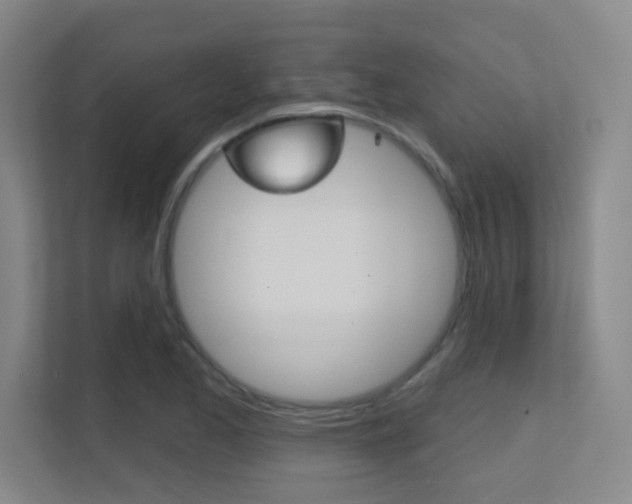 X0000112391173200908131338