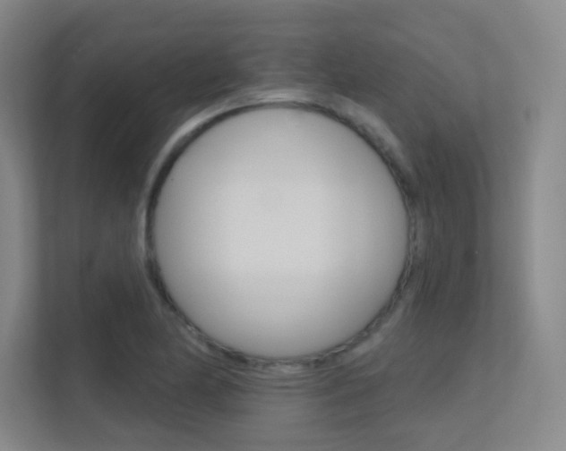 X0000112391174200908131338