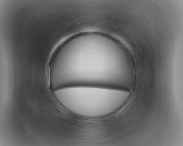 X0000112391175200908131338