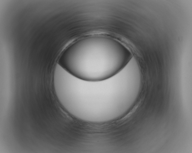 X0000112391177200908131338