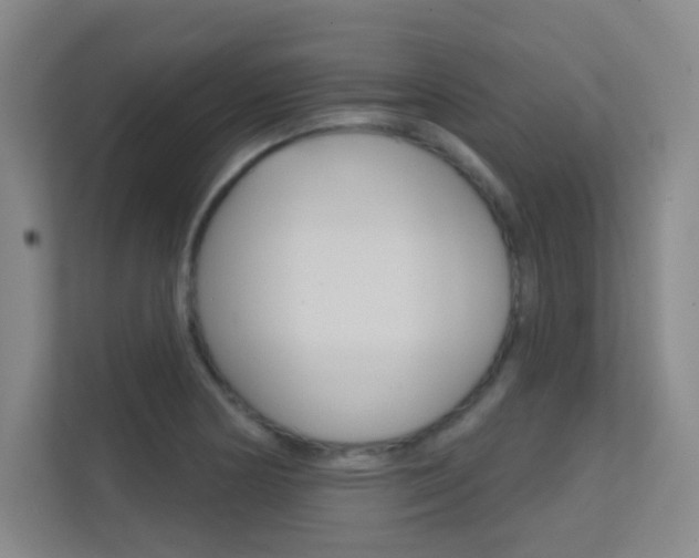 X0000112391178200908131338