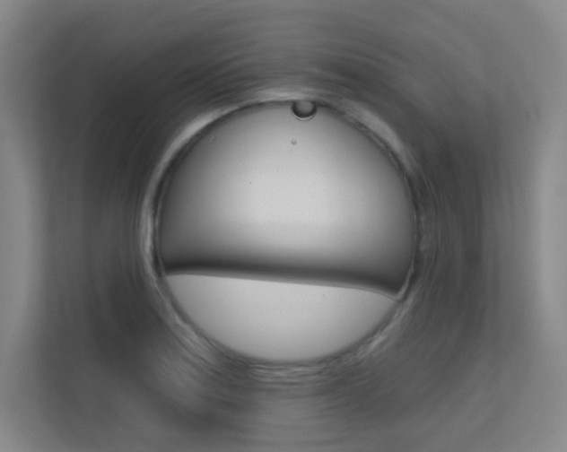 X0000112391179200908131338