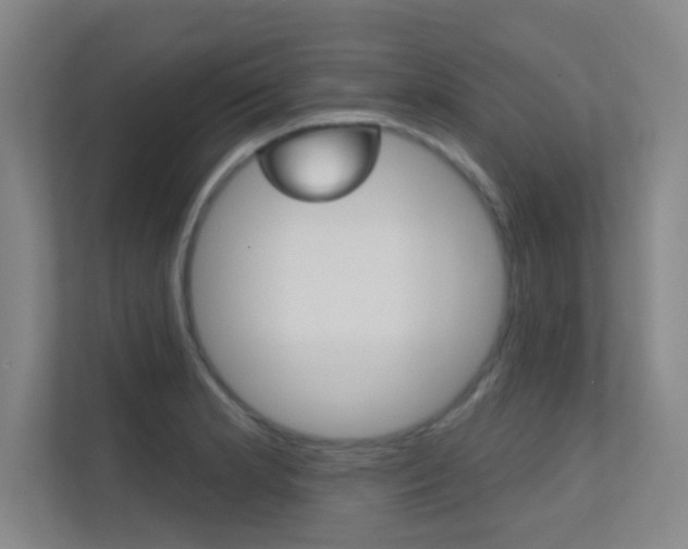 X0000112391181200908131338