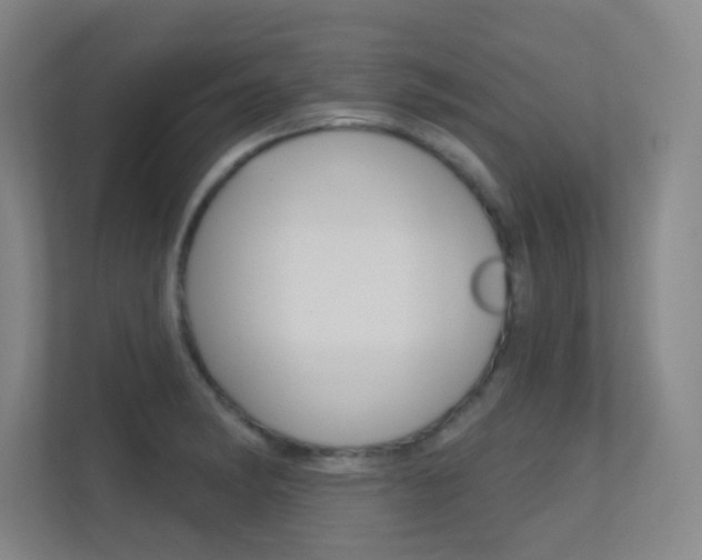 X0000112391182200908131338