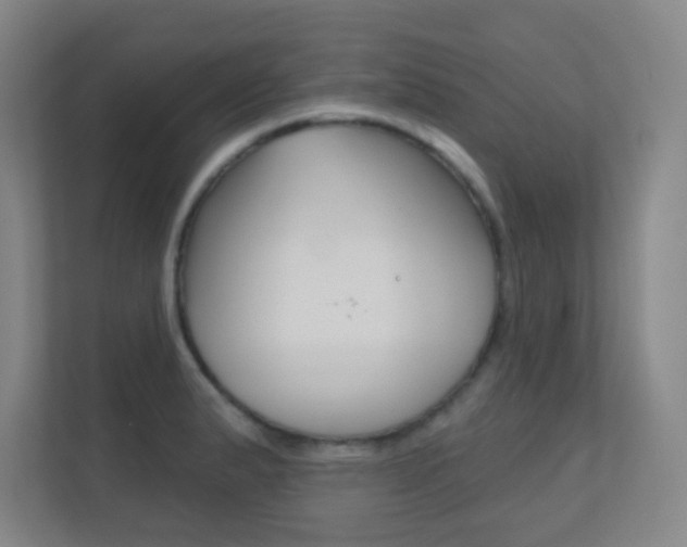 X0000112391183200908131338
