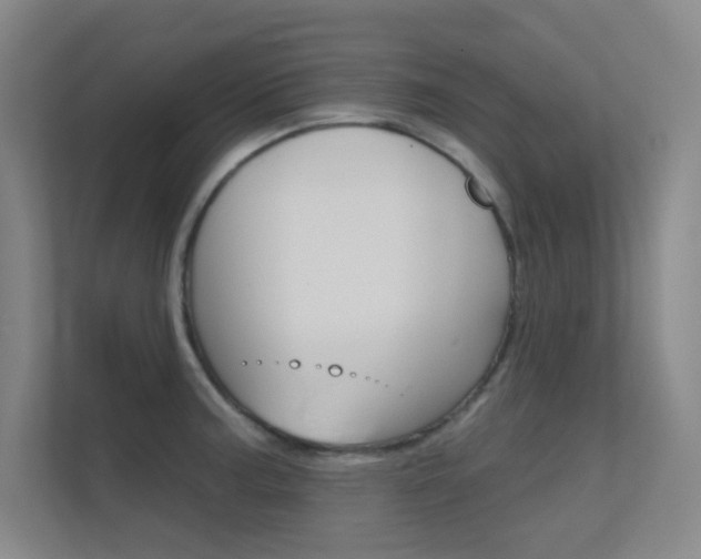 X0000112391187200908131337
