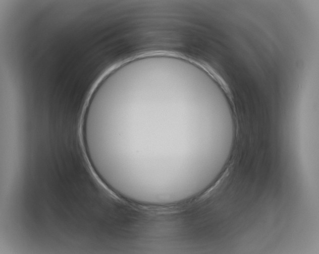 X0000112391189200908131337