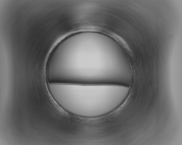 X0000112391192200908131337