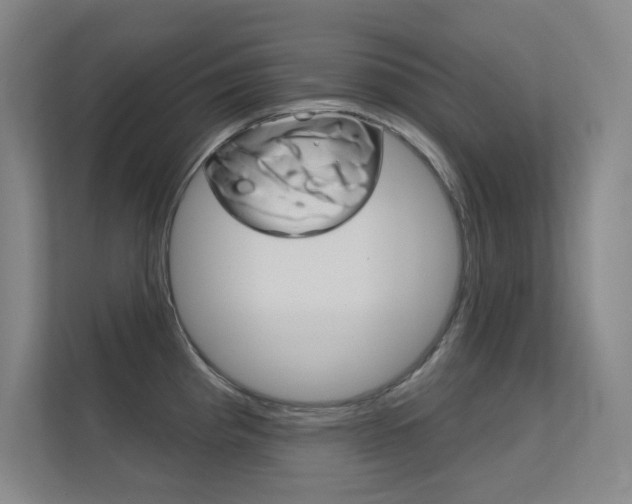 X0000112391193200908131337