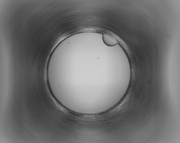 X0000112391194200908131337