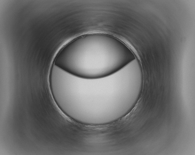 X0000112391197200908131337