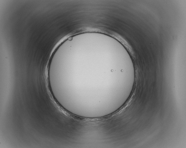 X0000112391198200908131337