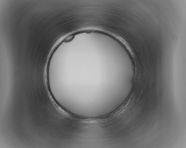 X0000112391199200908131337