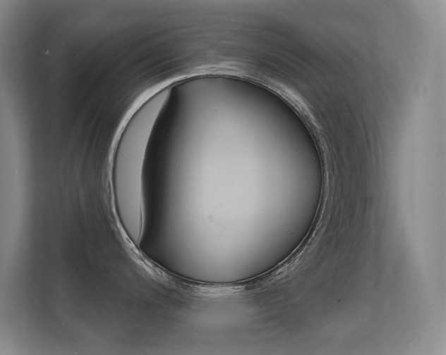 X0000112391200200908131337