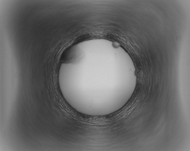 X0000112391201200908131337