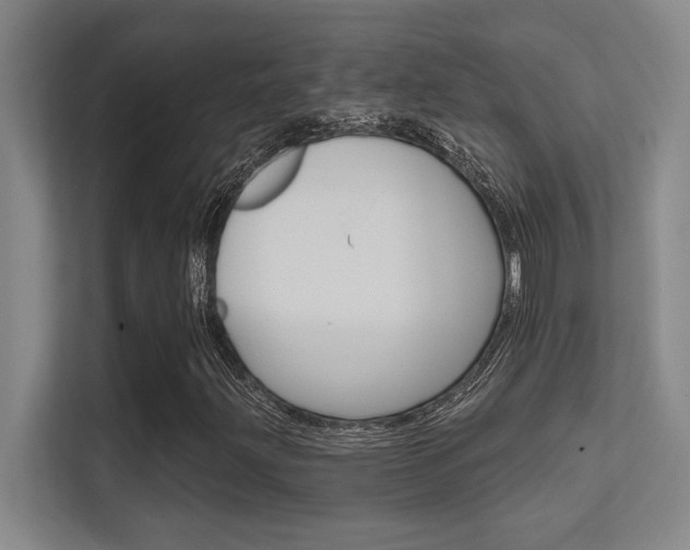 X0000112391203200908131337