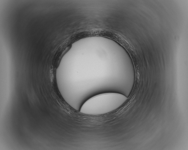 X0000112391204200908131337
