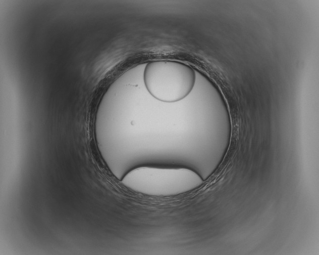 X0000112391205200908131337